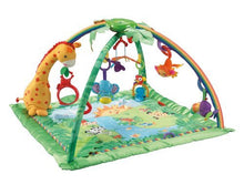 Load image into Gallery viewer, Fisher-Price Rainforest Melodies and Lights Deluxe Gym
