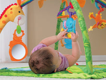 Load image into Gallery viewer, Fisher-Price Rainforest Melodies and Lights Deluxe Gym
