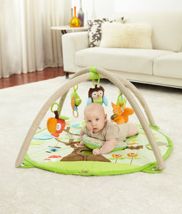 Skip Hop Treetop Friends Activity Gym